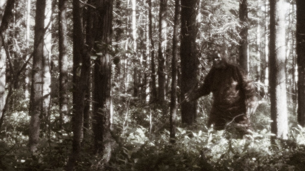 michigan father and son fishermen reported encounter with bigfoot cannabis dispensary