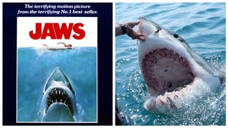 JAWS MOVIE SHARKS