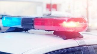 naked kansas man bites dog and police during gas station bathroom fight