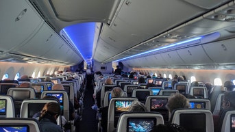 art institute of chicago president james rondeau allegedly stripped nake united airlines flight