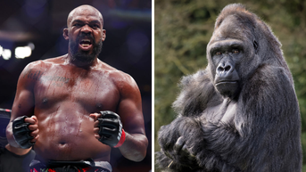 UFC's Jon Jones Volunteers To Lead Hypothetical Group Of 100 Men To Fight Gorilla