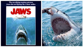 JAWS MOVIE SHARKS