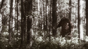 michigan father and son fishermen reported encounter with bigfoot