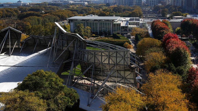 art institute of chicago president james rondeau allegedly stripped naked on flight to germany