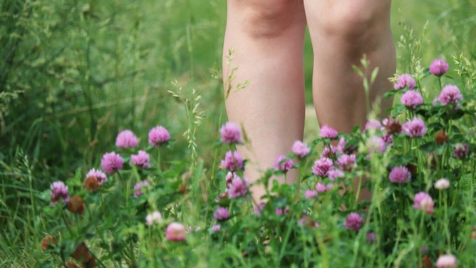 A South Carolina nudist community is hosting a clothing optional 5K race.