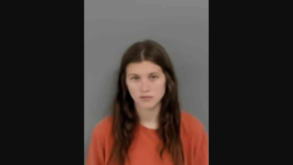 brianna laird mugshot burning american flags nude from the waist down