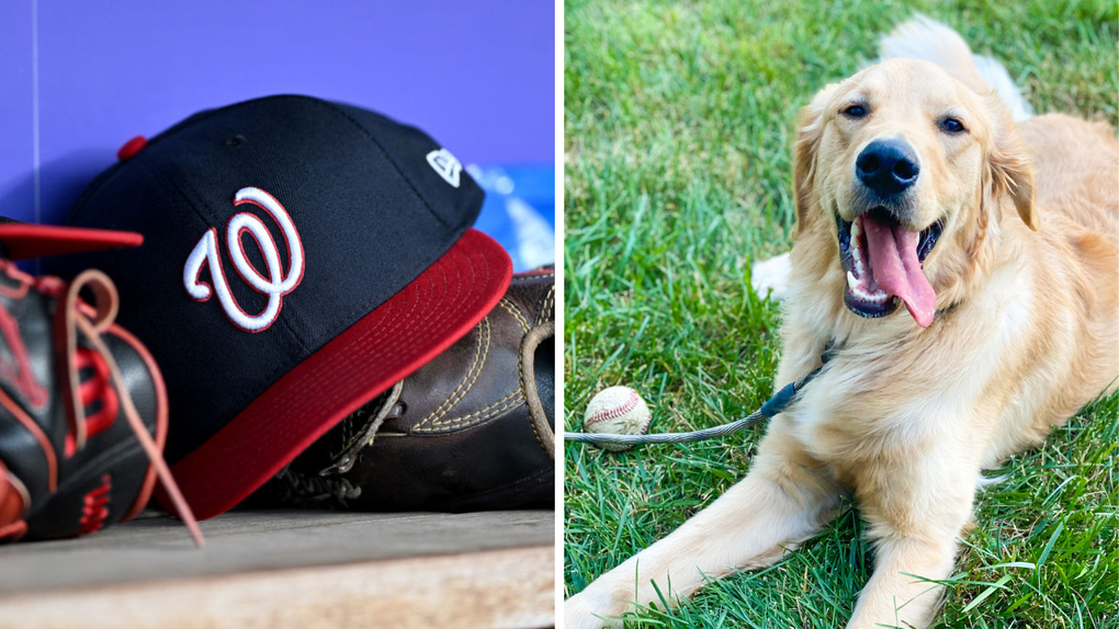 Very Good (Bat) Boy Bruce Set To Make His Big League Debut For Nationals