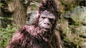 Was Bigfoot discovered in Argentina? A new video has surfaced of something off in the distance. What is in the video? (Credit: Getty Images Creatives)