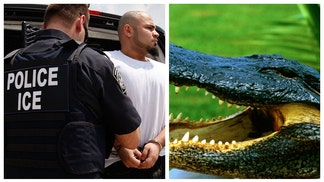 ALLIGATOR ALCATRAZ FLORIDA ICE