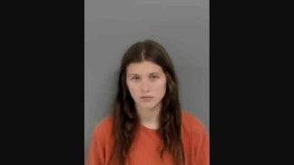 brianna laird mugshot burning american flags nude from the waist down