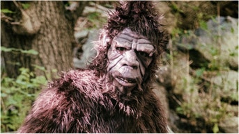 Was Bigfoot discovered in Argentina? A new video has surfaced of something off in the distance. What is in the video? (Credit: Getty Images Creatives)