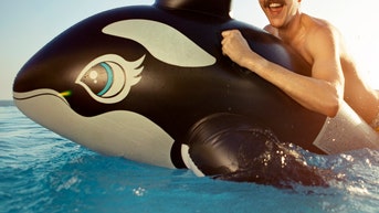 florida man steals pool floats to have sex with