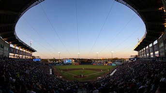 Tampa Bay Rays home stadium