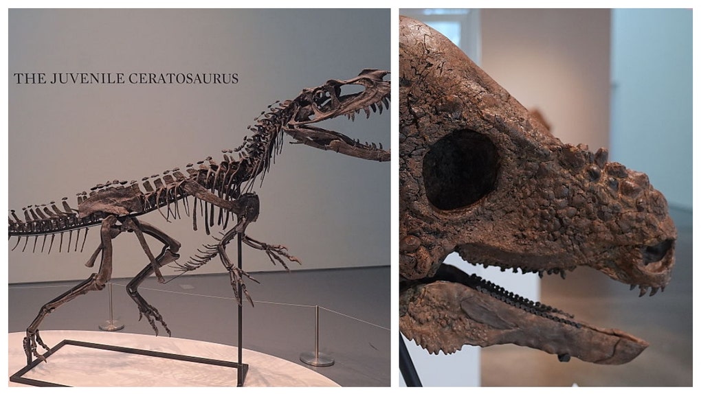 CERATOSAURUS