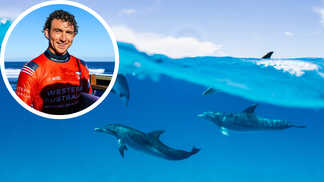 Pro Surfer Rides Wave With Majestic Pod Of Dolphins In South Africa: WATCH