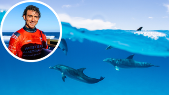 Pro Surfer Rides Wave With Majestic Pod Of Dolphins In South Africa: WATCH