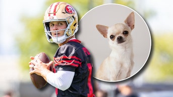 Brock Purdy and a Chihuahua
