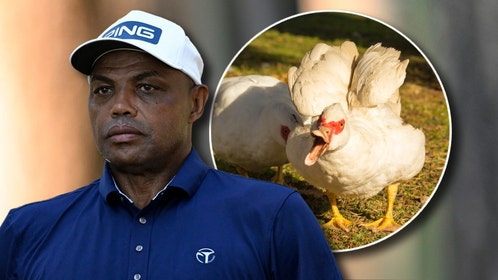 Charles Barkley and ducks