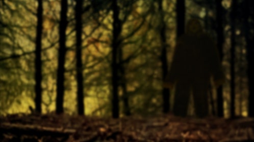 bigfoot sighting in argentina the ucumar