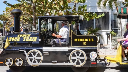 florida man arrested for meth-fueled joyride on stolen sightseeing train