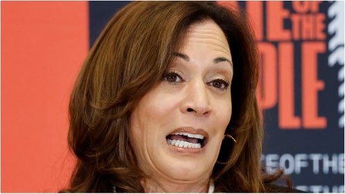Kamala Harris (Photo by Mario Tama/Getty Images)