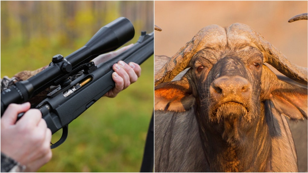 Disgusting people are making fun of hunter Asher Watkins dying in South Africa on a hunting trip. What are the details of his death? What are the reactions? (Credit: Getty Images Creatives)