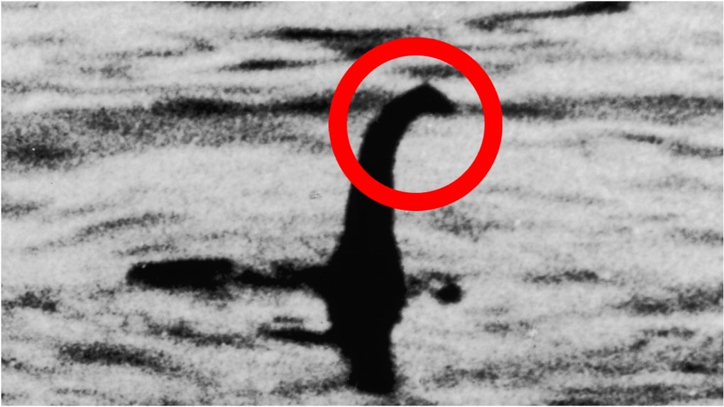 Loch Ness Monster (Photo by Keystone/Getty Images)