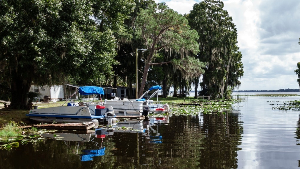 two knocked out during wild brawl at florida lake