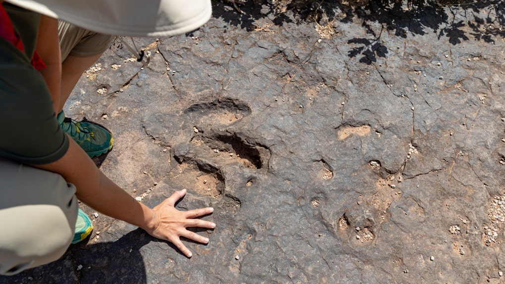 Volunteers discover dinosaur footprints on private property while clearing debris from Texas floods
