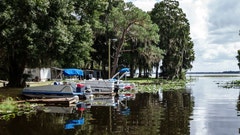 two knocked out during wild brawl at florida lake