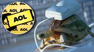 AOL and a turtle with a computer mouse on it