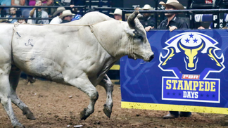 World's Best Bull Riders Hit The Music City For PBR Nashville Stampede Days