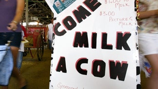 the casting couch miniature exhibit artist has been banned from the kentucky state fair