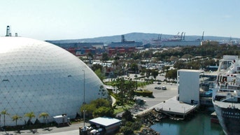 Carnival Cruise ship passengers brawl outside Long Beach cruise terminal