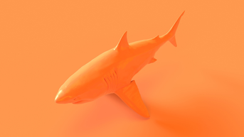 First-Of-Its-Kind, Bright Orange Shark Spotted In The Caribbean: PHOTOS