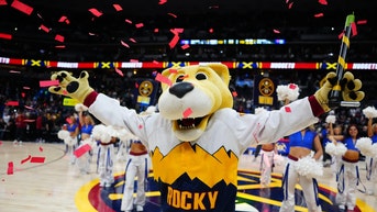 Denver Nuggets mascot Rocky.