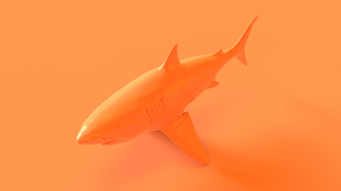 First-Of-Its-Kind, Bright Orange Shark Spotted In The Caribbean: PHOTOS