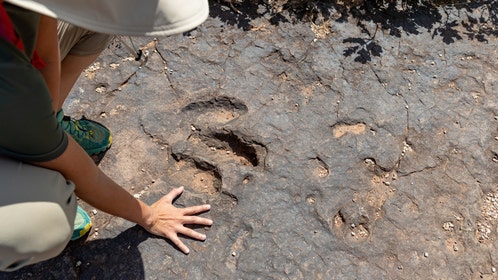Volunteers discover dinosaur footprints on private property while clearing debris from Texas floods