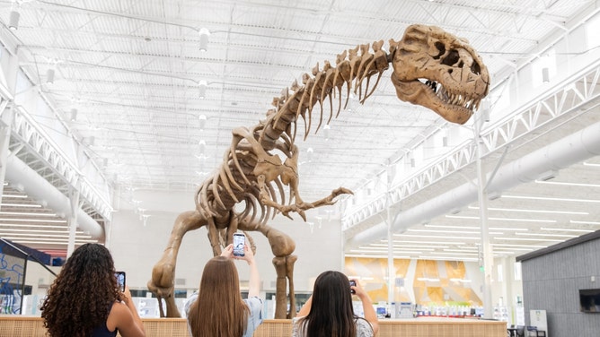dinosaur footprint texas floods