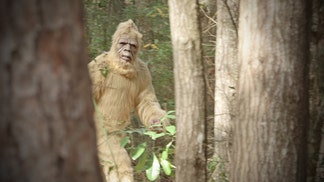 missouri trail cam bigfoot