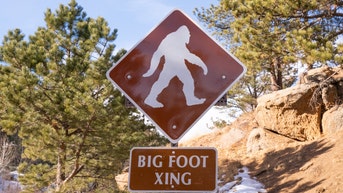bigfoot sighting at willamette national forest in oregon