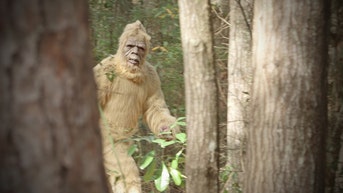 missouri trail cam bigfoot