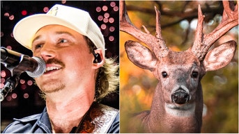 Drury Outdoors released a lengthy video of Morgan Wallen killing a huge buck. Watch the video. Is Wallen a big hunter? (Credit: Getty Images Creatives and Photo by John Shearer/Getty Images for for Morgan Wallen's One Night At A Time 2024)