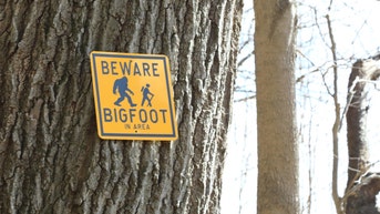 outkick readers weigh in on poplar bluff bigfoot