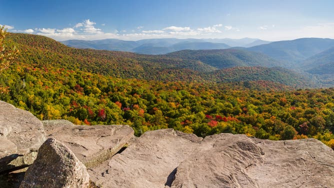 Another Group Of Hikers Gets Too High On Shrooms, Needs Rescue In Catskills