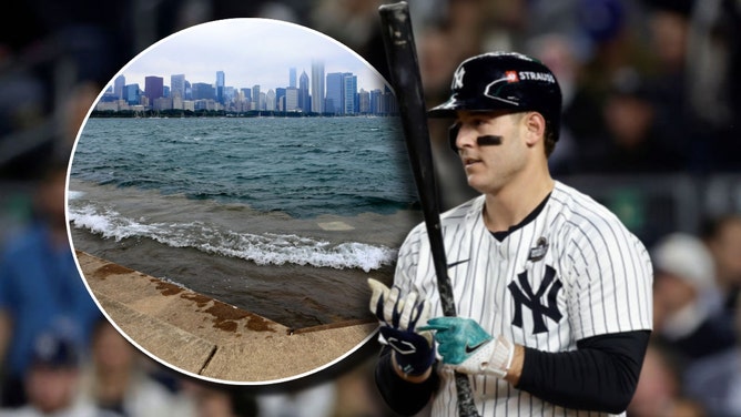 Scuba Diver Says He Recovered Anthony Rizzo's Wedding Ring From The Bottom Of Lake Michigan