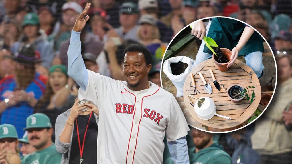 Pedro Martinez