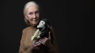 Jane Goodall, Legendary Primatologist And Conservationist, Dies At 91
