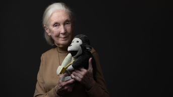 Jane Goodall, Legendary Primatologist And Conservationist, Dies At 91