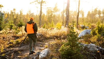 A hunter walking through the woods with a gun